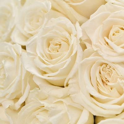 Монобукет из белых роз Playa Blanka